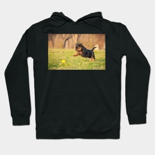 Playful Rottweiler Puppy Digital Painting Hoodie